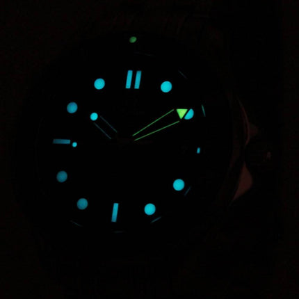 Omega Seamaster Professionl kronometer 300M 212.30.41.20.03.001 Herreur