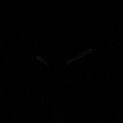 Anne Klein 2512GYRG Quartz Diamond Accents Women's Watch