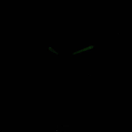 Anne Klein 2512NVGB Quartz Diamond Accents Women's Watch