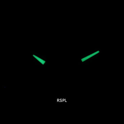 Casio Enticer World Time Telememo Analog Digital AMW-880D-1A AMW880D-1 herreur