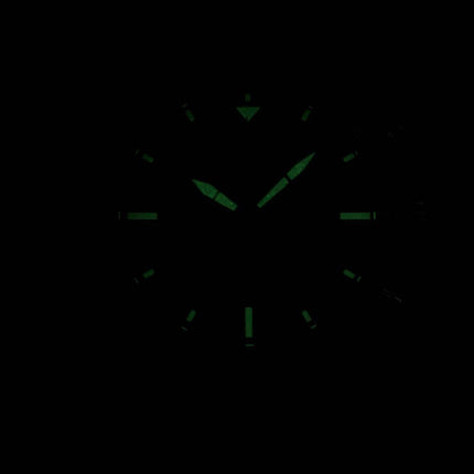 Borger Chronograph Quartz AN3620-51E Herreur