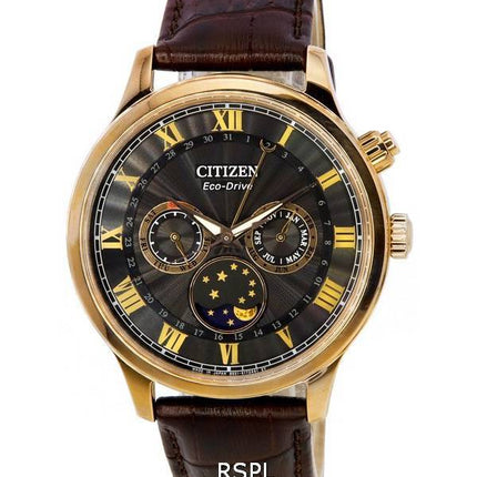 Citizen Eco-Drive månefase multifunktions sort skive AP1059-19E herreur