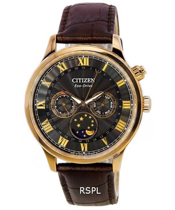 Citizen Eco-Drive månefase multifunktions sort skive AP1059-19E herreur