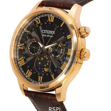 Citizen Eco-Drive månefase multifunktions sort skive AP1059-19E herreur