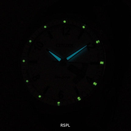 Citizen Eco-Drive Day-Date AW0010-01A