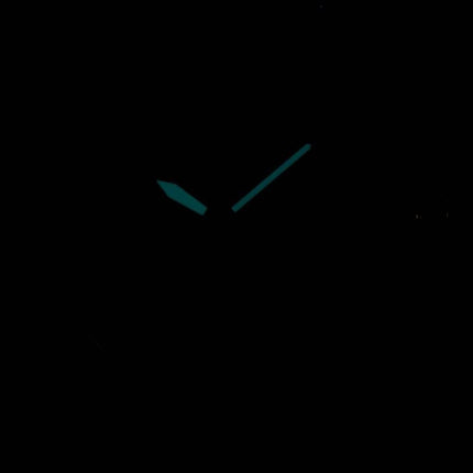 Citizen Aviator Eco-Drive Mesh Band AW1360-55E Herreur