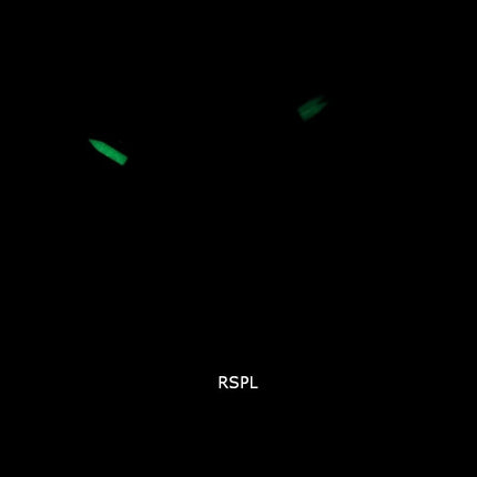 Casio G-Shock Special Color Analog Digital Tough Solar AWR-M100SMG-1A AWRM100SMG-1 200M Herreur