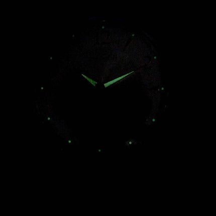 Citizen BF2009-29X Quartz Herreur