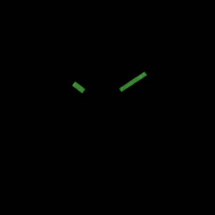 Borger Quartz Black Dial BI1025-53E Mens