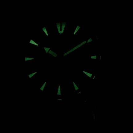 Citizen BI1041-22L Quartz Herreur