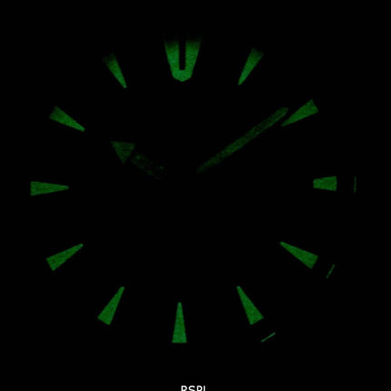 Citizen BI1045-13E Quartz Herreur