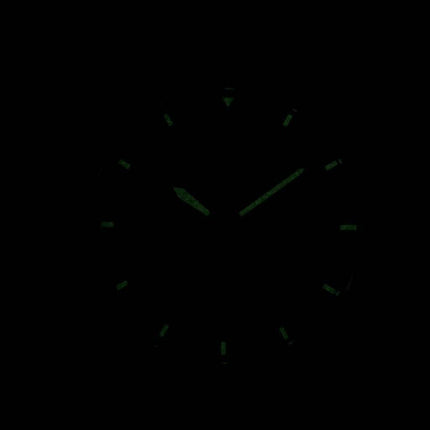 Borger kvarts White Dial BI1050-05A Herreur