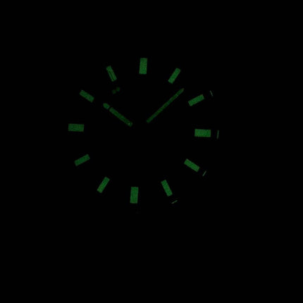 Borger Analog Quartz BI5054 - 53L Herreur