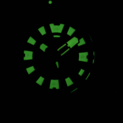 Citizen Promaster Eco-Drive professionel Diver 300M DLC Japan lavet BN0176-08E Herreur