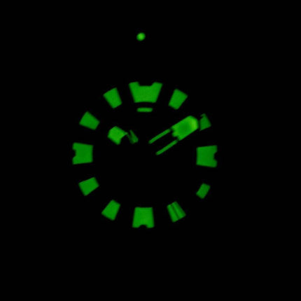 Citizen Promaster Eco-Drive professionel Diver 300M DLC Japan lavet BN0177-05E Herreur