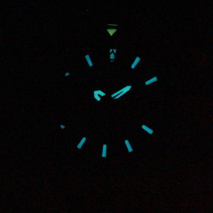 Citizen Altichron Eco-Drive Promaster BN4021-02E Herreur