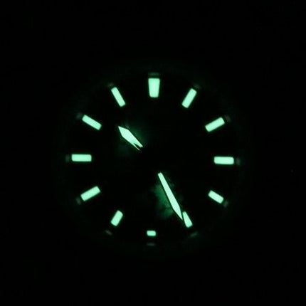 Citizen Promaster Geo Trekker rustfrit stål grå skive Eco-Drive BY3006-53H 200M herre pilotur