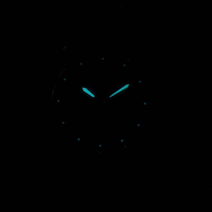 Citizen Eco-Drive EW3144-51A kvinders ur