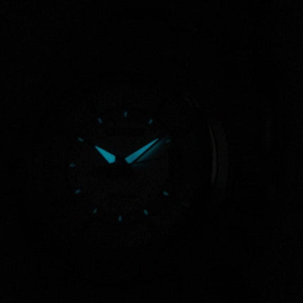 Citizen Eco-Drive Analog FE1010-57B sølv urskive kvinders ur