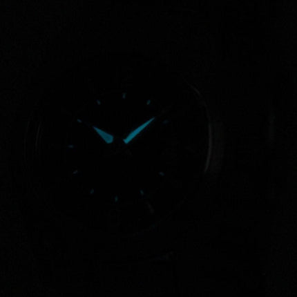 Citizen Eco-Drive Analog sort urskive FE1010-57E kvinders ur