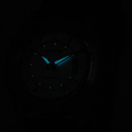 Citizen Eco-Drive magt Reserve FE1011-03B kvinders ur
