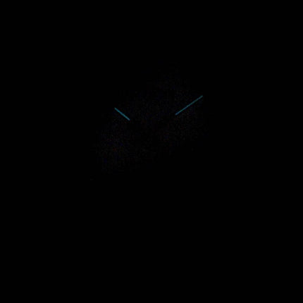 Citizen Eco Drive FE6012-11A Analog Kvinders Ur