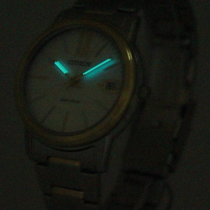 Citizen Eco-Drive FE6014-59A kvinders ur