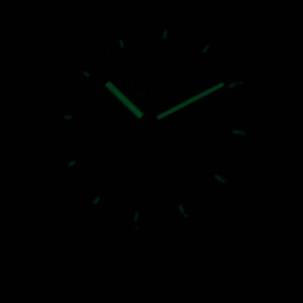 Orientstar Automatic Power Reserve FH02001B Herreur