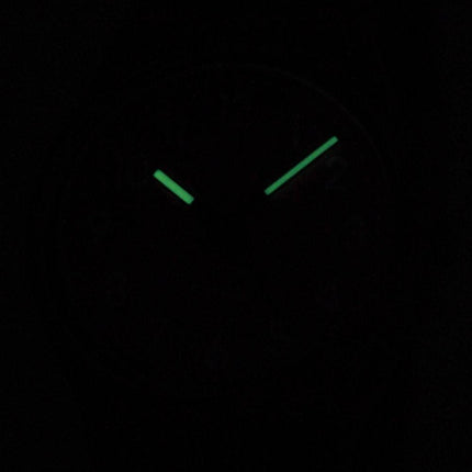 Swatch originaler Dragon frugt schweizisk Quartz GP128 Unisex ur