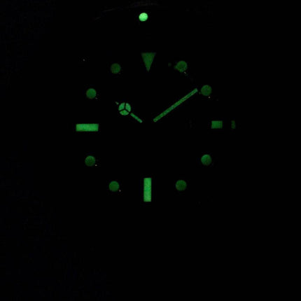 Invicta Pro Diver 14356 Quartz 200M Herreur