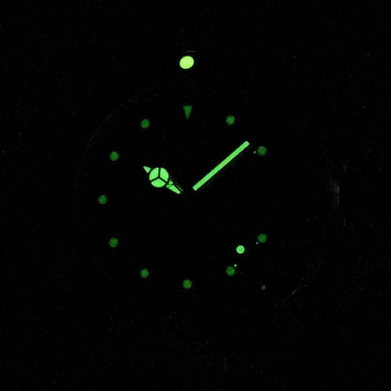 Invicta Pro Diver 17048 professionelle Analog Quartz 200M Herreur