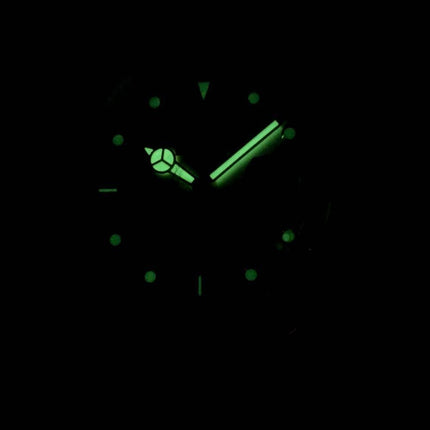 Invicta Pro Diver 22059 Quartz 200M Herreur