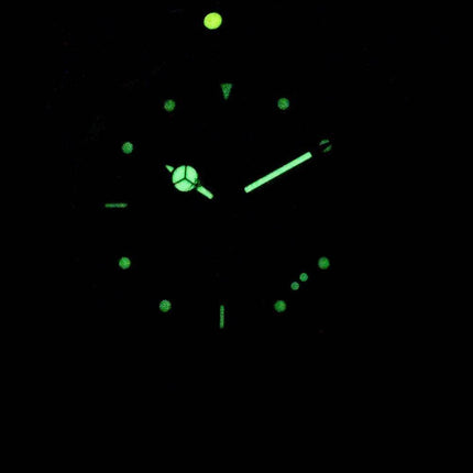 Invicta Pro Diver 24945 Quartz 200M Herreur