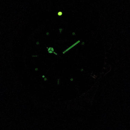 Invicta Pro Diver 26973 Analog Quartz 200M Herreur