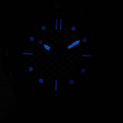 Invicta Pro Diver 28434 Analog Quartz Herreur