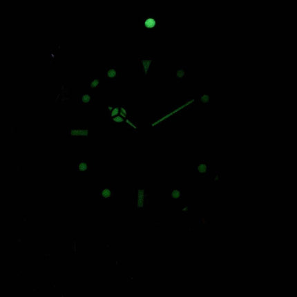 Invicta Pro Diver Professional 29176 automatisk 200M Herreur