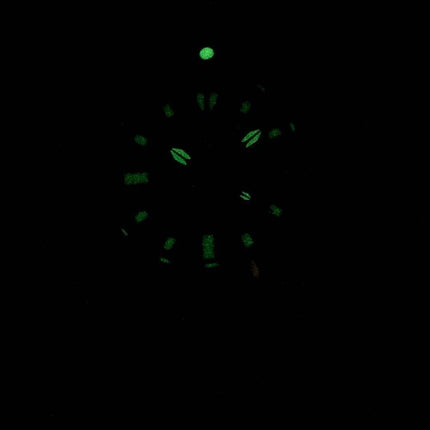 Invicta Pro Diver 2961 Lady afgrunden Quartz kvinder ur
