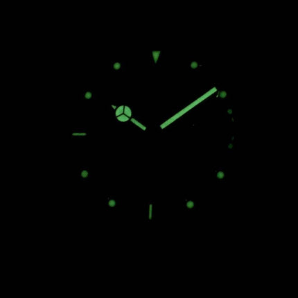 Invicta Pro Diver 29946 Quartz 200M Herreur