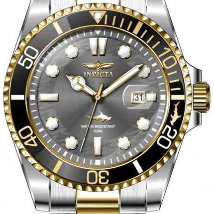 Invicta Pro Diver 30809 Quartz 100M Herreur