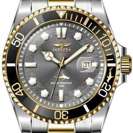 Invicta Pro Diver 30809 Quartz 100M Herreur