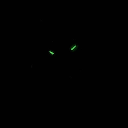 Casio Enticer Analog Quartz LTP-1314L-7AVDF LTP-1314L-7AV kvinders ur