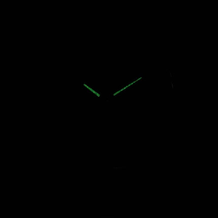 Casio Timepieces LTP-V005L-2B LTPV005L-2B analog dame ur