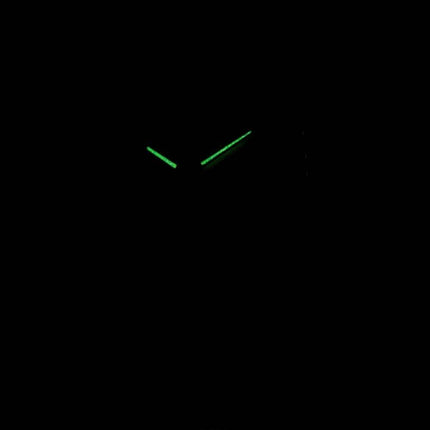 Casio Quartz LTP-V005L-7B2 LTPV005L-7B2 Analog Kvinders Ur