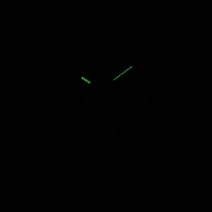 Casio Timepieces LTP-V300D-1A2 LTPV300D-1A2 Quartz Women Watch