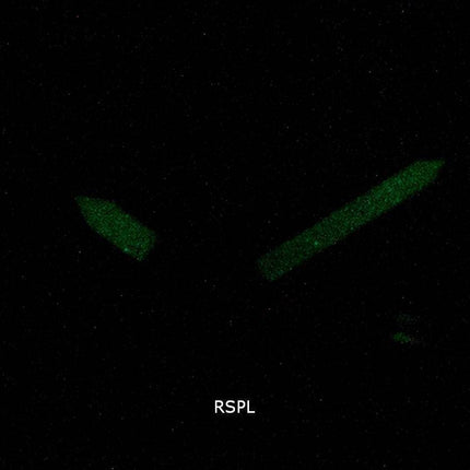 Casio Youth MCW-200H-9AV Quartz Chronograph 100M Herreur