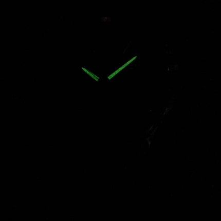 Casio Enticer Analog Quartz MTP-1374D-2AV MTP1374D-2AV Herreur