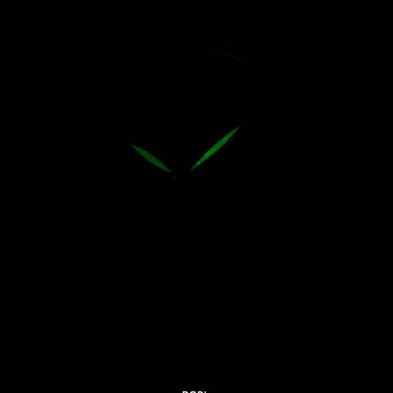 Citizen Automatic NH8353-00 H Herreur