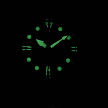 Citizen Automatic 100M NH8384-14E Herreur