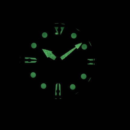 Citizen Automatic 100M NH8385-11E Herreur