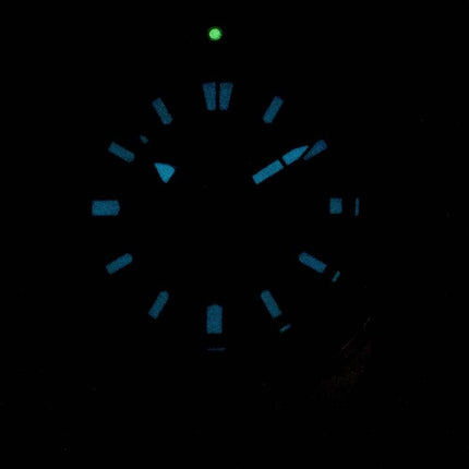 Citizen Promaster Marine Scuba Diver 200M automatisk NY0070-83E Herreur